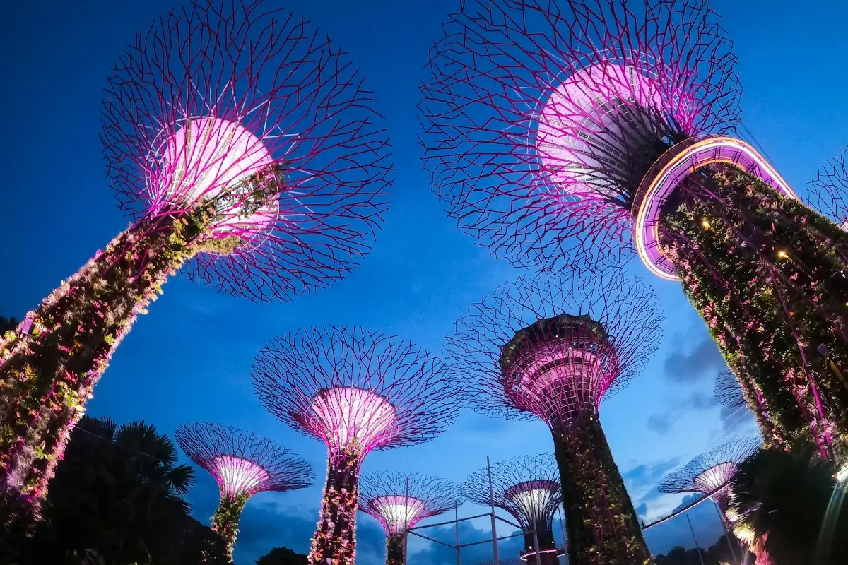 Gardens By The Bay